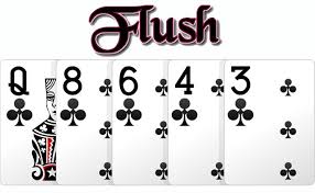 flush poker online