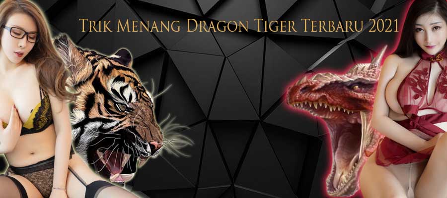 Trik Menang Dragon Tiger Terbaru 2021